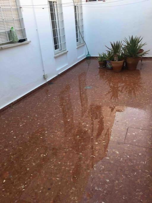 Casa Soleada En Calle Tranquila เซบีญา ภายนอก รูปภาพ