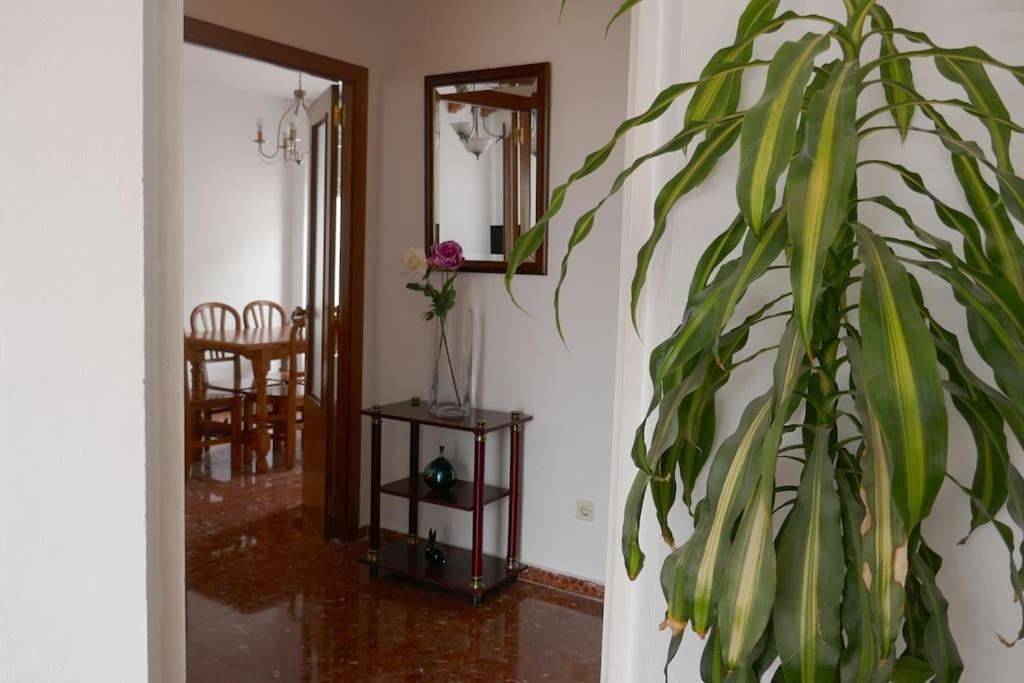Casa Soleada En Calle Tranquila เซบีญา ภายนอก รูปภาพ