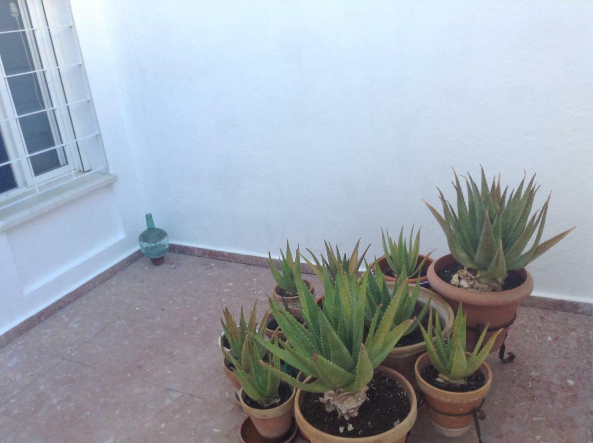 Casa Soleada En Calle Tranquila เซบีญา ภายนอก รูปภาพ